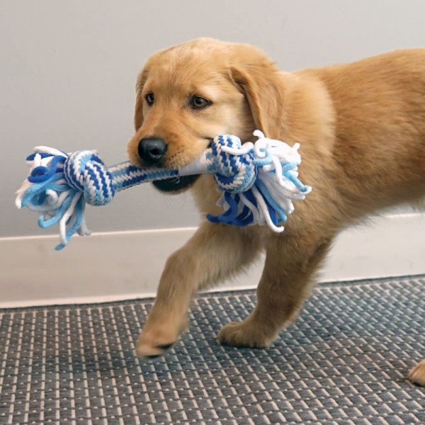 Kong Rope Tug Puppy Fetch and Tug Rope Dog Toy - Assorted - Medium Supply - Image 2